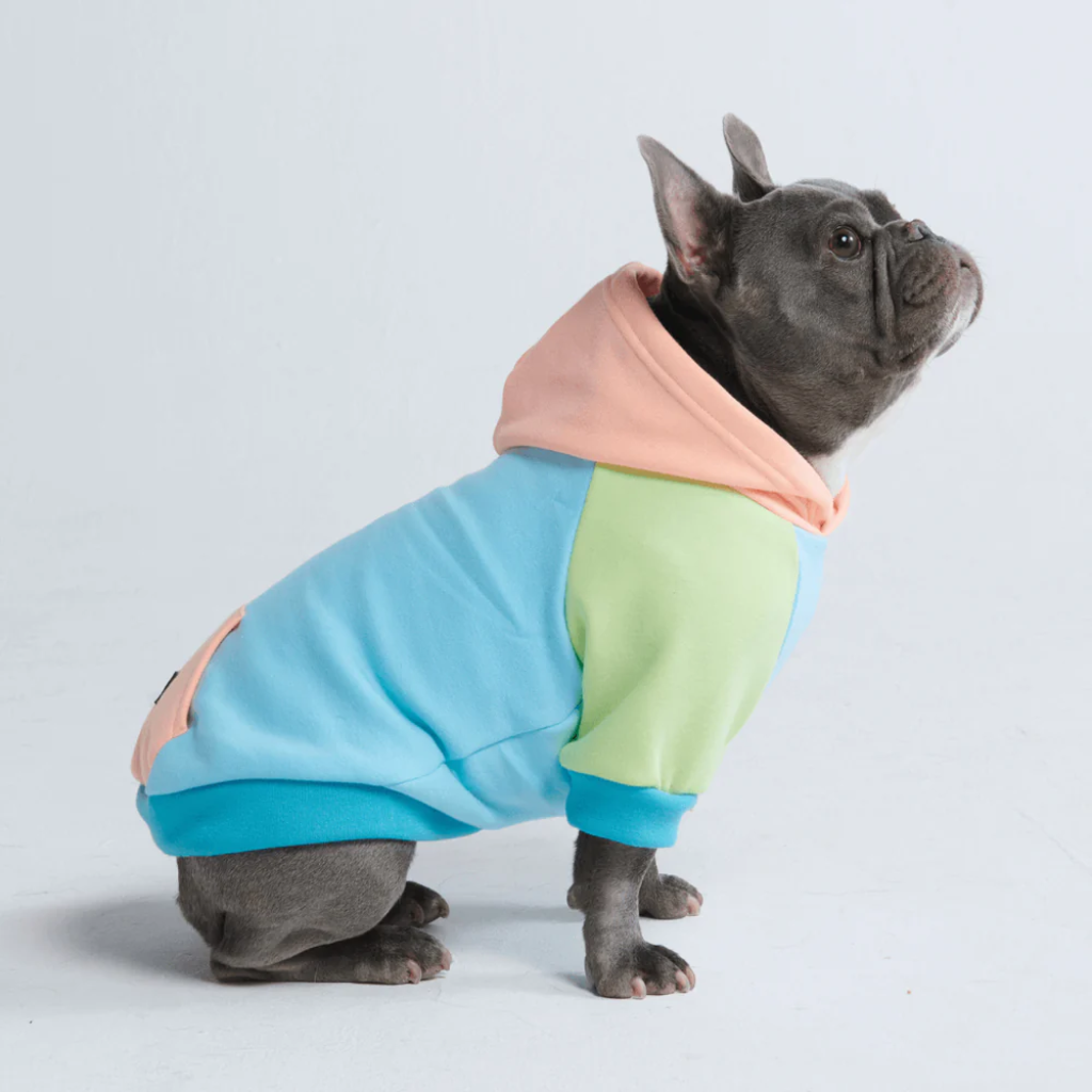 Jelly Bean Dog Hoodie - Image 5