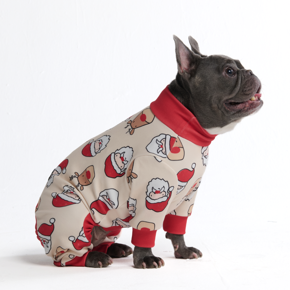 Dog Christmas Pajama - Santa and Rudolph - Image 4