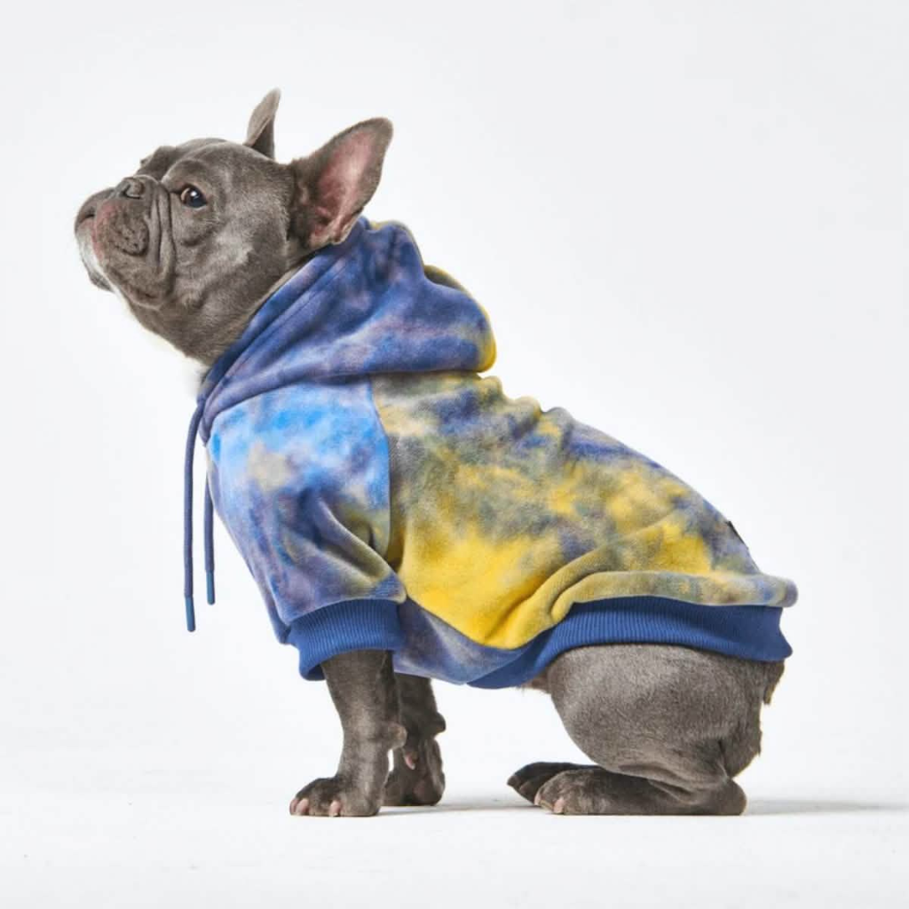 Velvet Dog Hoodie - Nova - Image 5