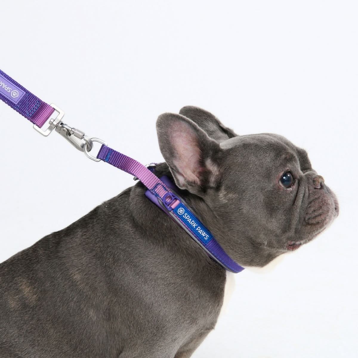 Cushioned Martingale Collar - 90s Retro - Image 2
