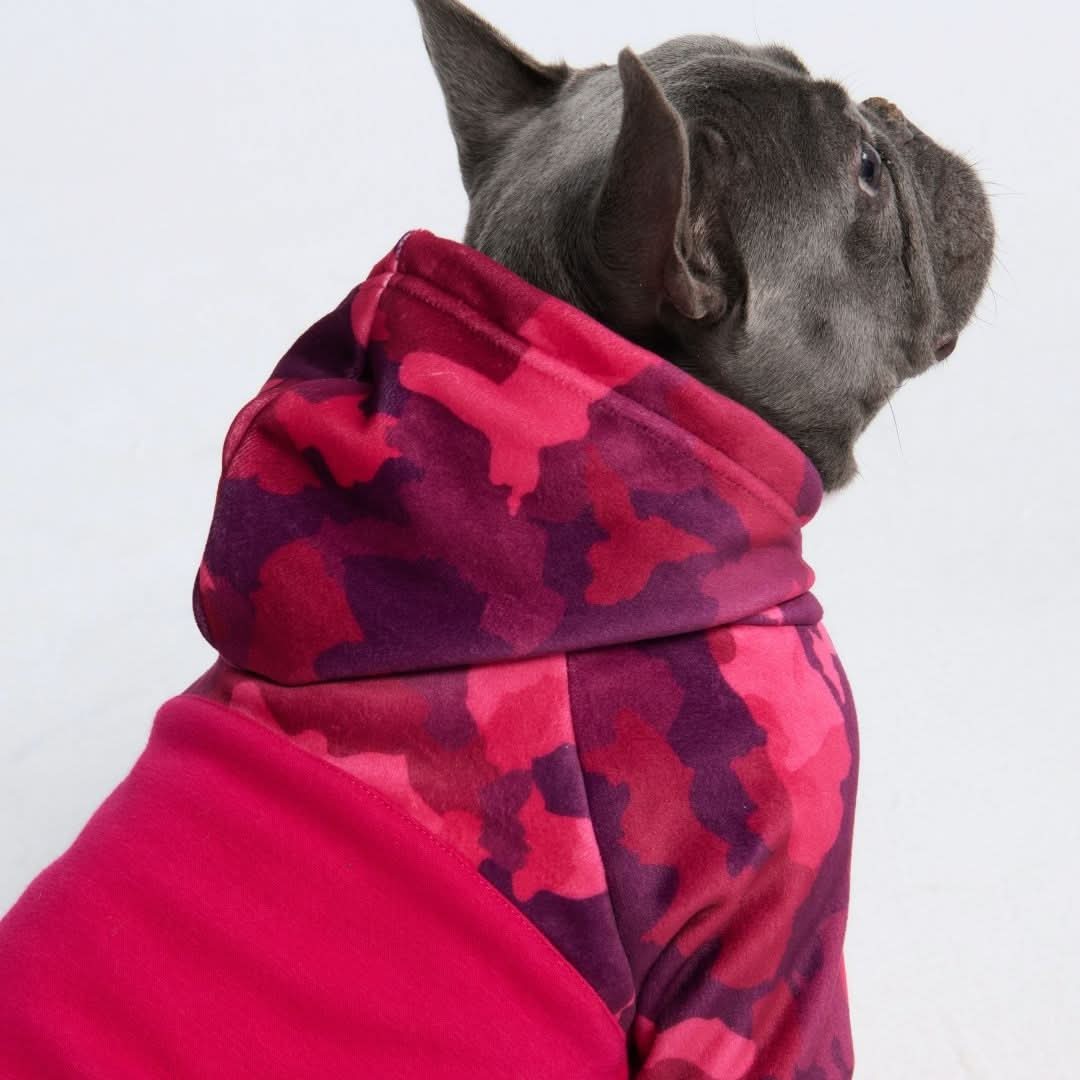 Fuchsia Camo Dog Hoodie - Image 11