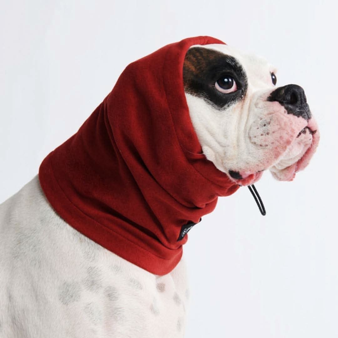 Leg Warmer and Earmuff Protector Set - Red - Image 3