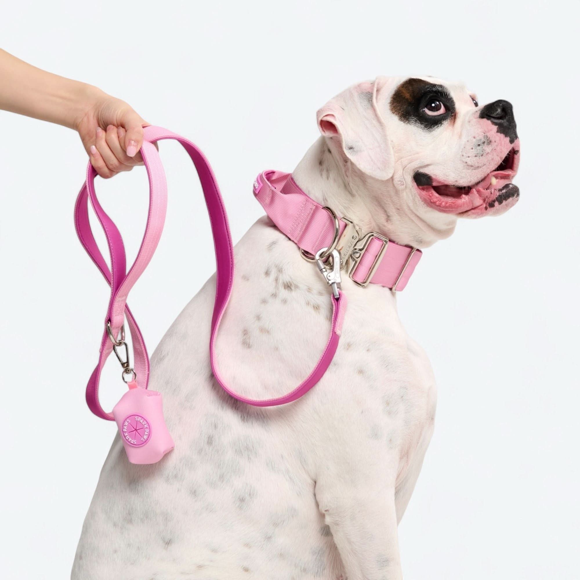 Leash and Poop Bag Holder Set - Pink - Image 3