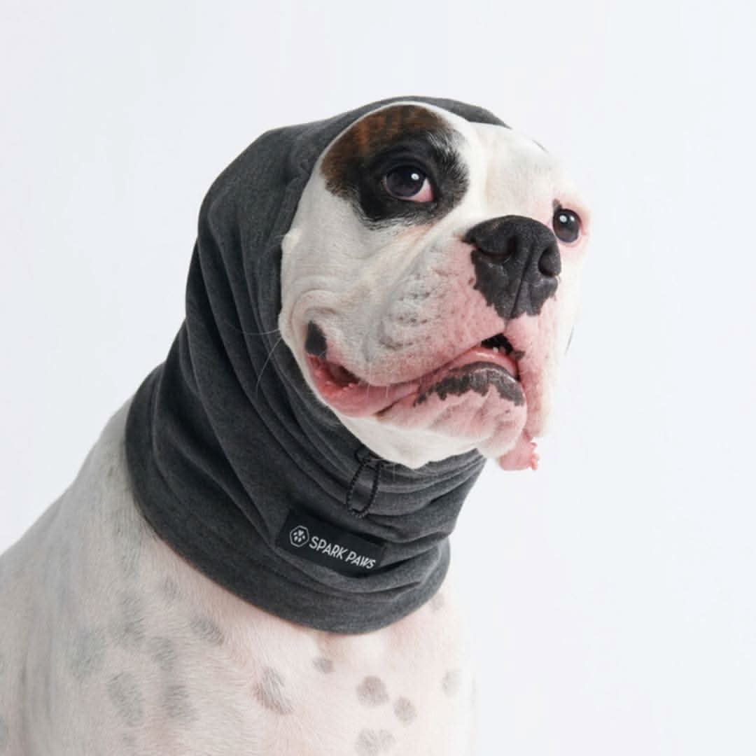 Leg Warmer and Earmuff Protector Set - Grey - Image 3