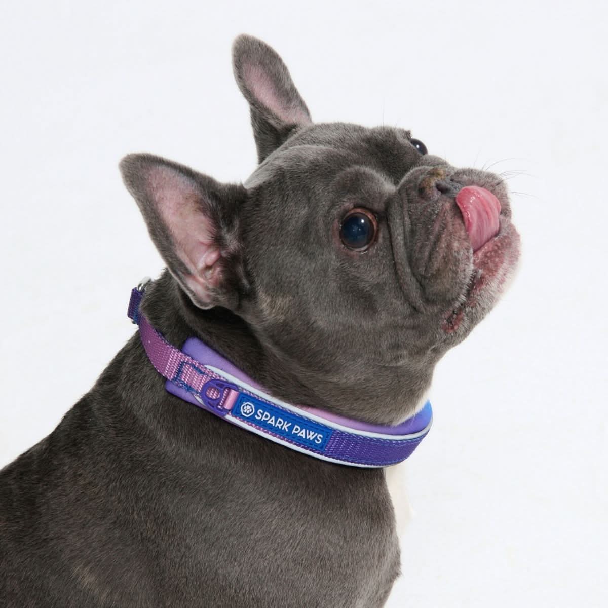 Cushioned Martingale Collar - 90s Retro - Image 3