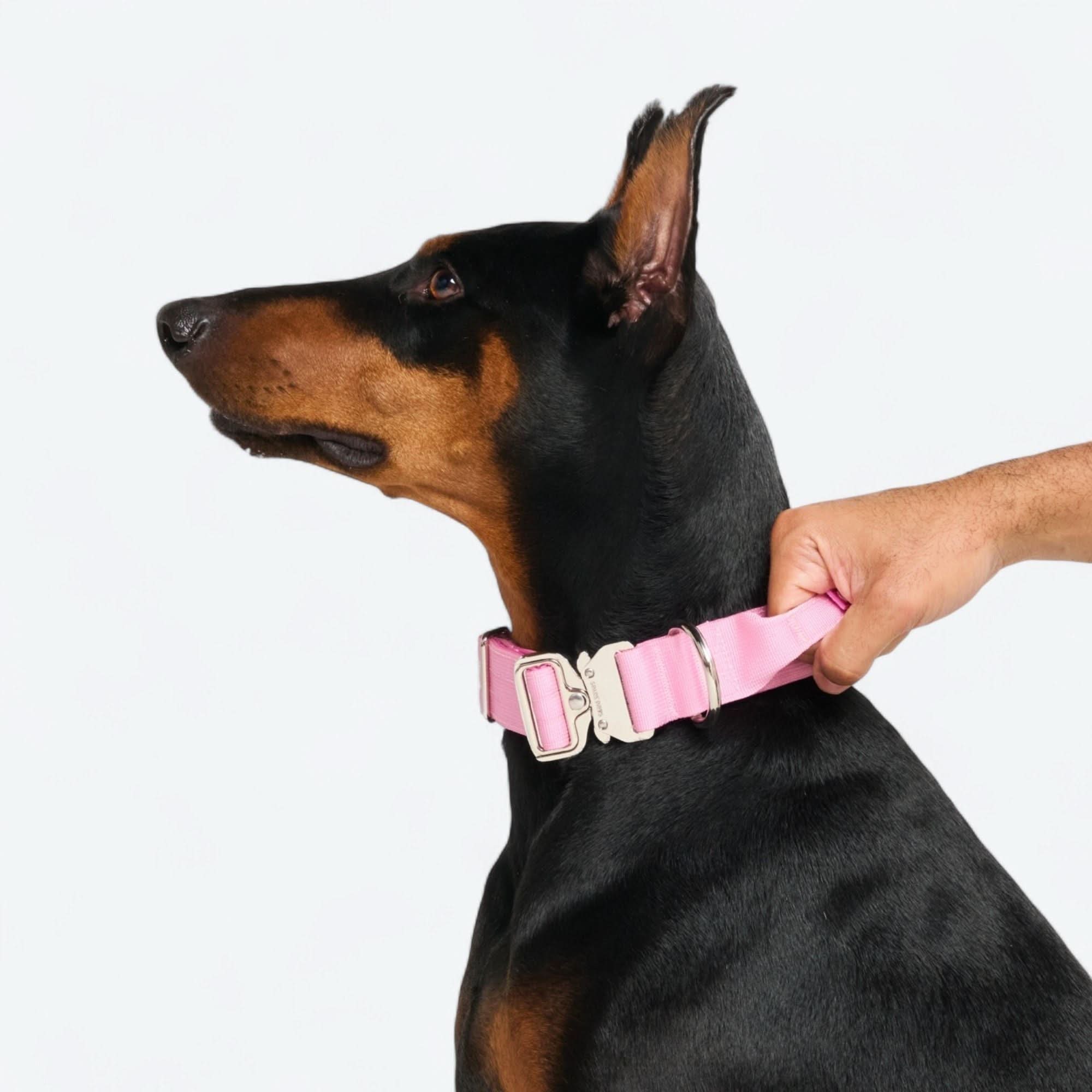 Comfort Control Collar - Pink - Image 2