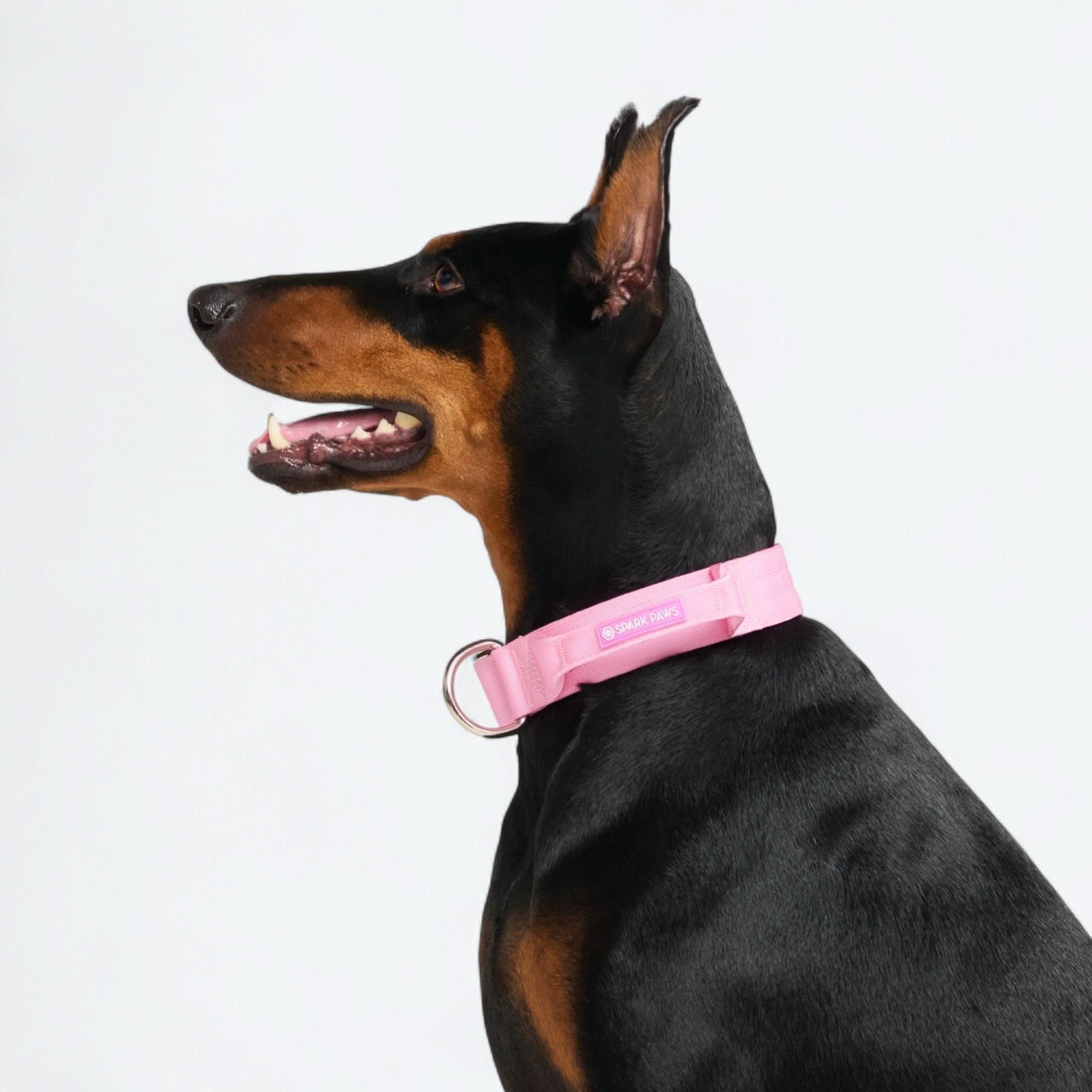 Comfort Control Collar - Pink - Image 4