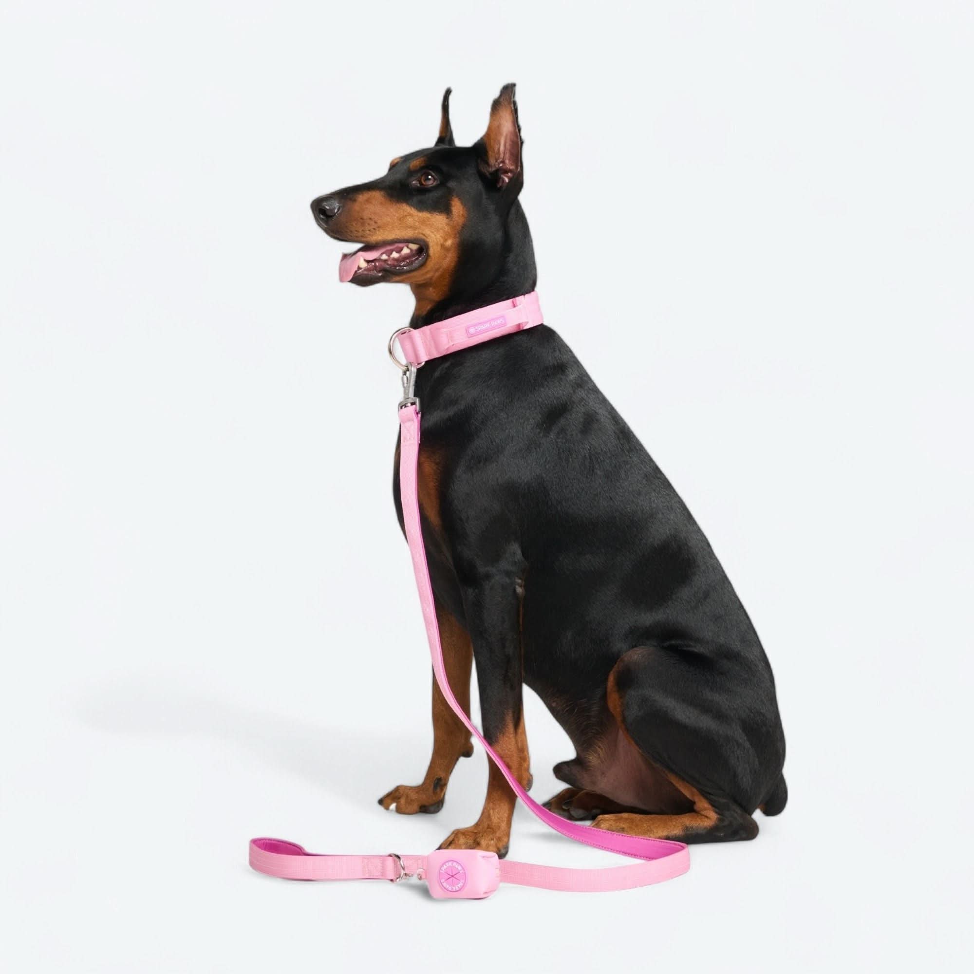 Leash and Poop Bag Holder Set - Pink - Image 2