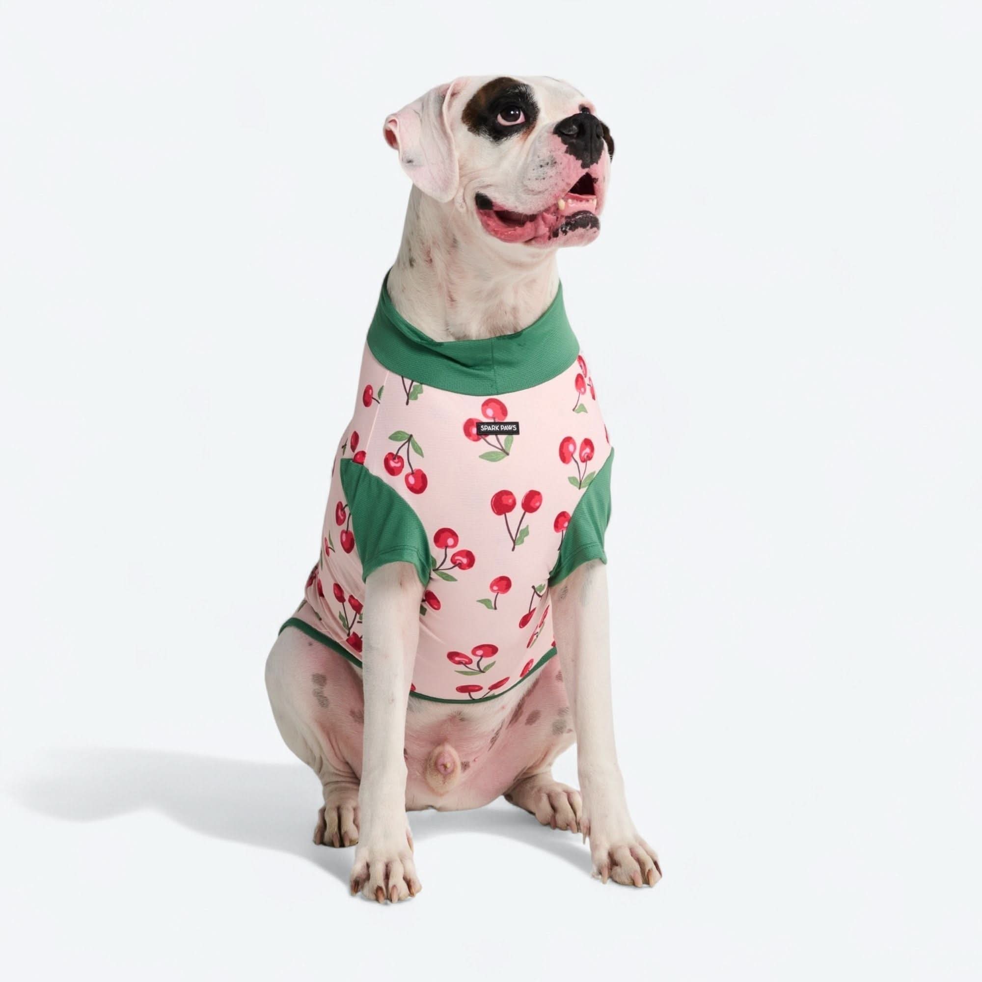 Sunblock Shirt - Cherries - Image 4