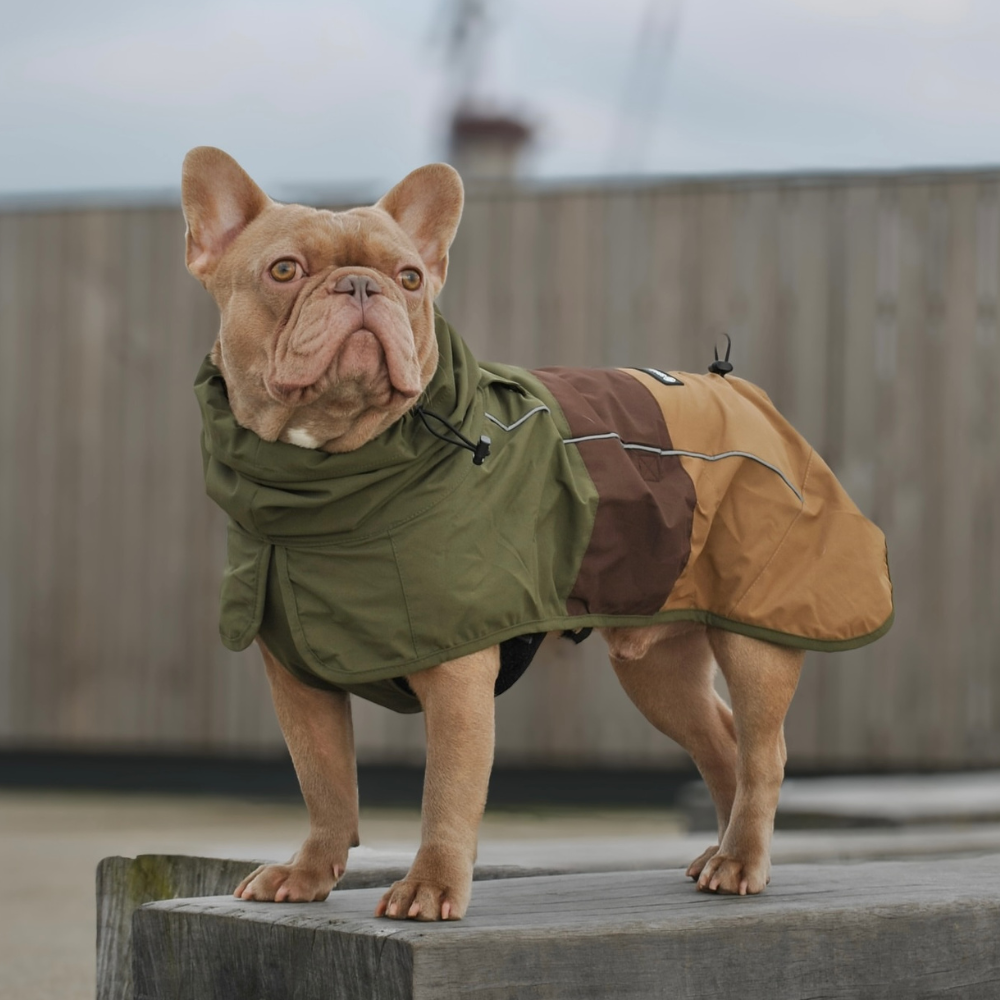 Breatheshield™ Dog Raincoat - Green Brown Tan - Image 10