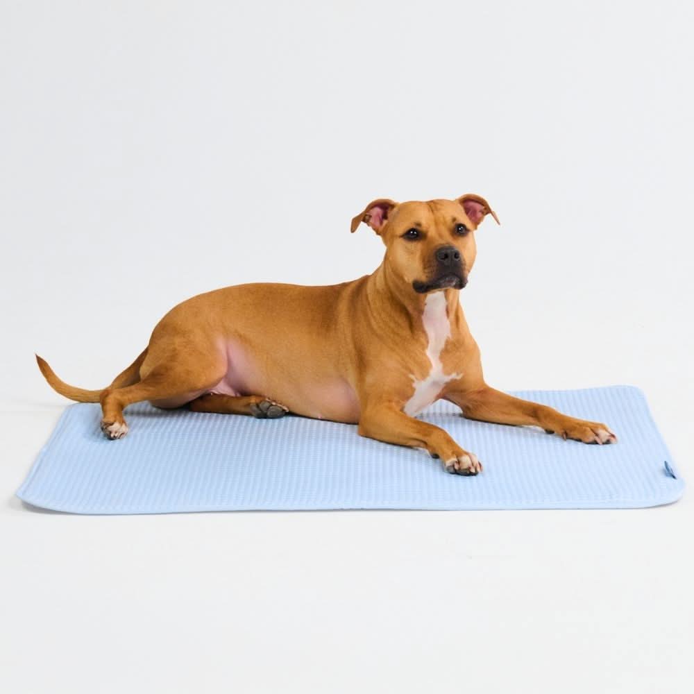 Frostcore™ Cooling Mat - Waffle Blue - Image 3