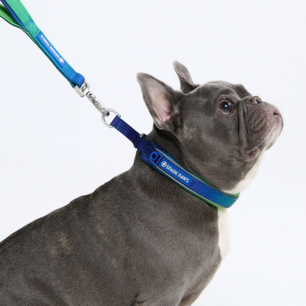 Cushioned Martingale Collar - Lime Wave - Image 3