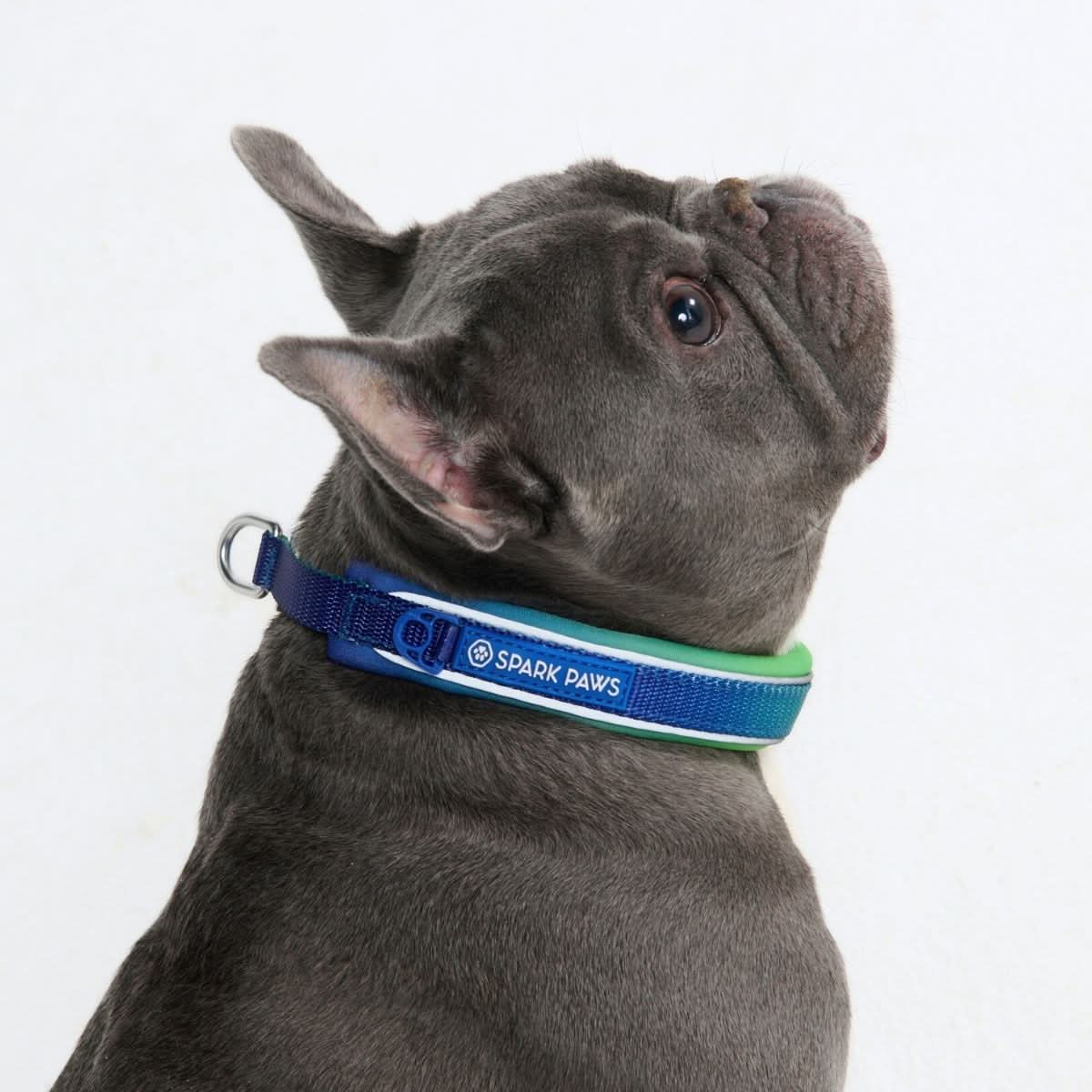 Cushioned Martingale Collar - Lime Wave - Image 4