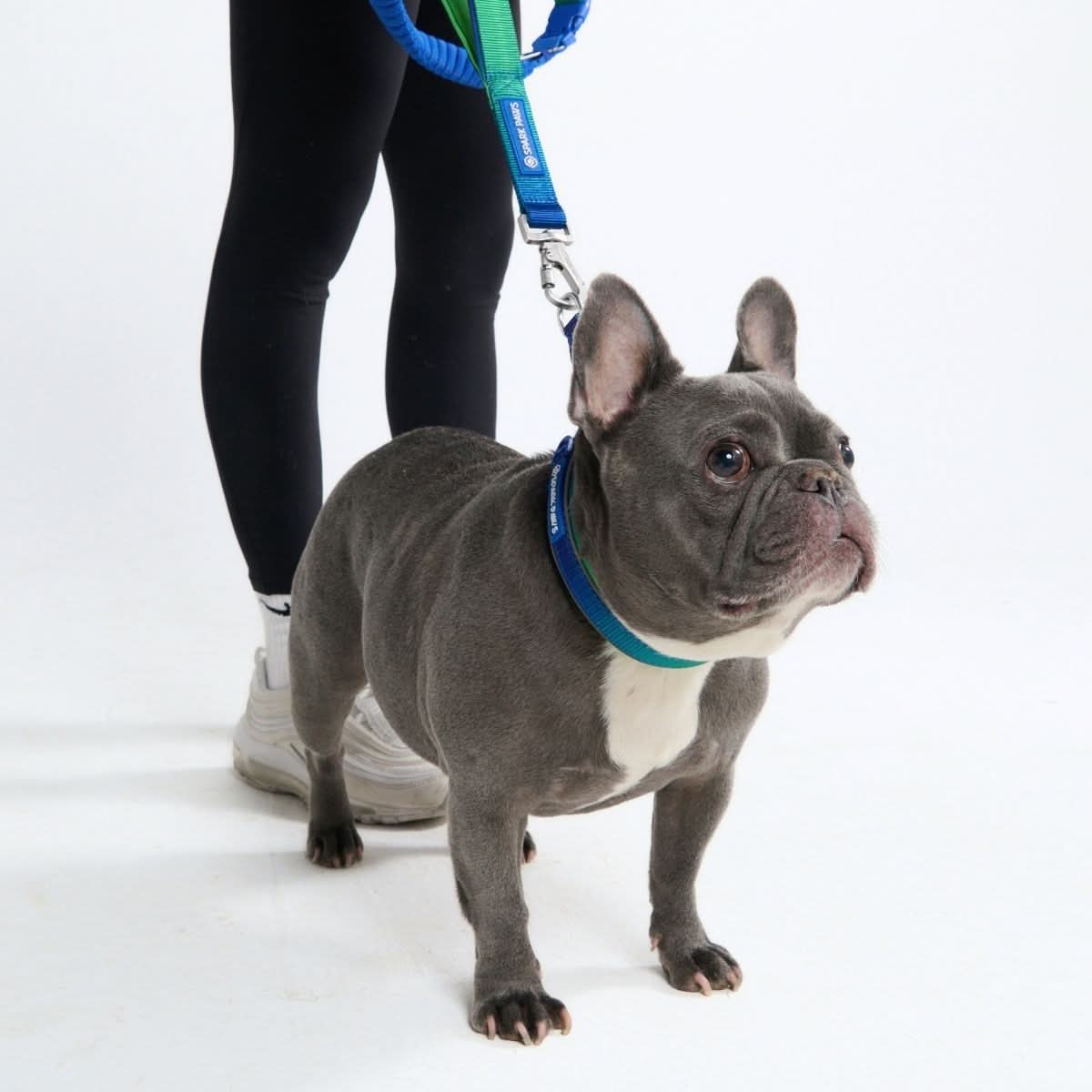 Cushioned Martingale Collar - Lime Wave - Image 5