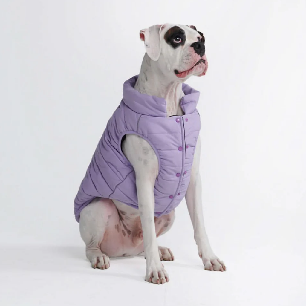 WarmShield Water-Resistant Jacket - Lilac - Image 5
