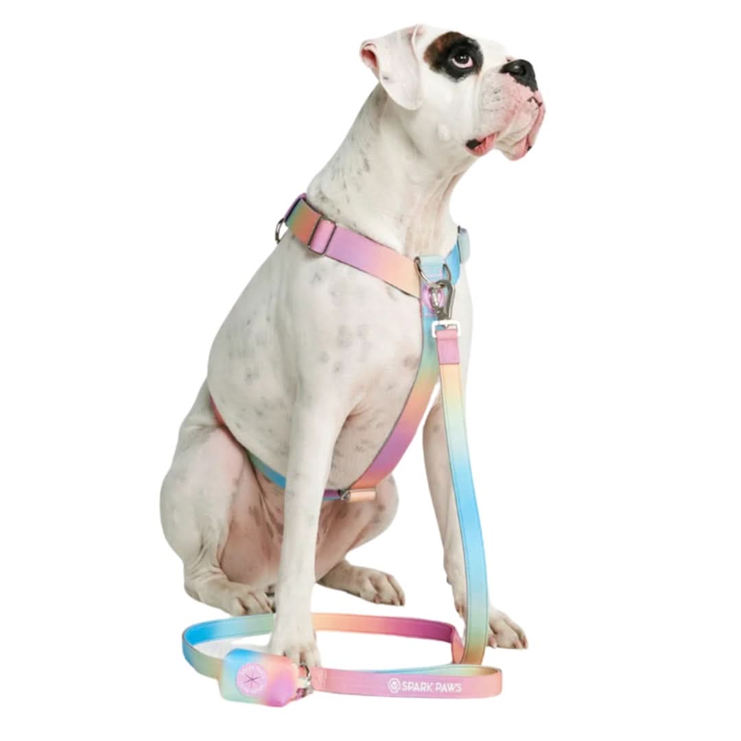 Leash and Poop Bag Holder Set - Pastel Icing - Image 3