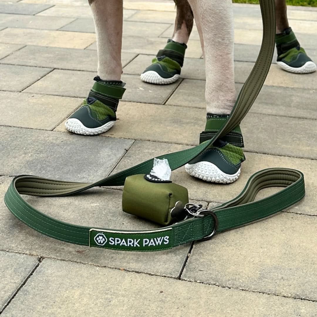 Leash and Poop Bag Holder Set - Army Green - Image 3