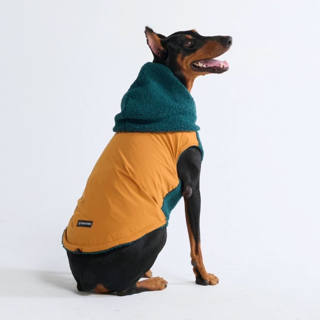 Reversible Jacket - Green and Orange - Image 13