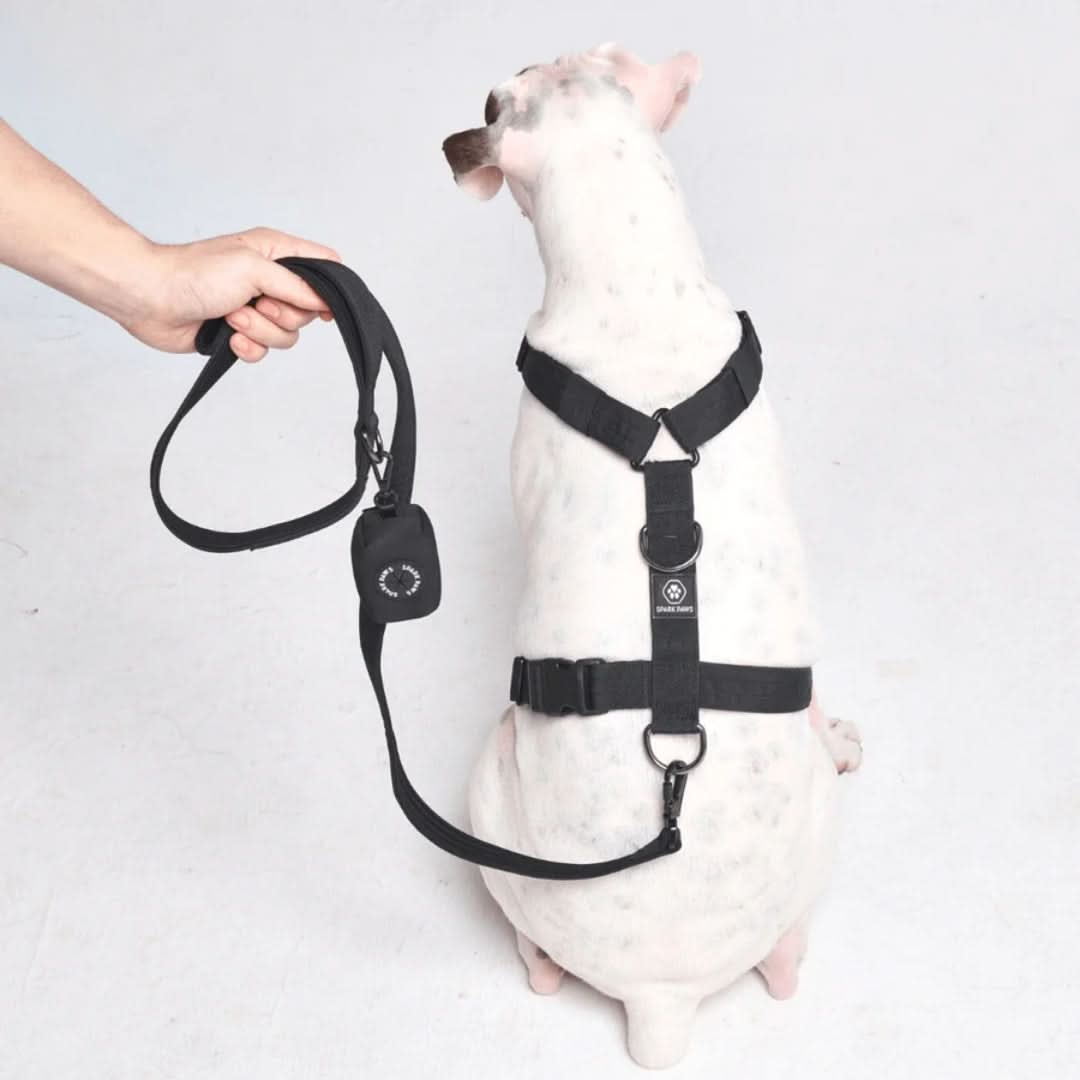 Leash and Poop Bag Holder Set - Black - Image 3
