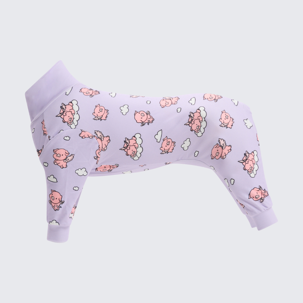 Dog Pajama - When Pigs Fly - Image 9