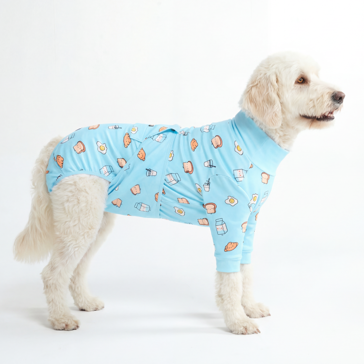 Dog Surgical Suit - Breakfast Blue - Image 5