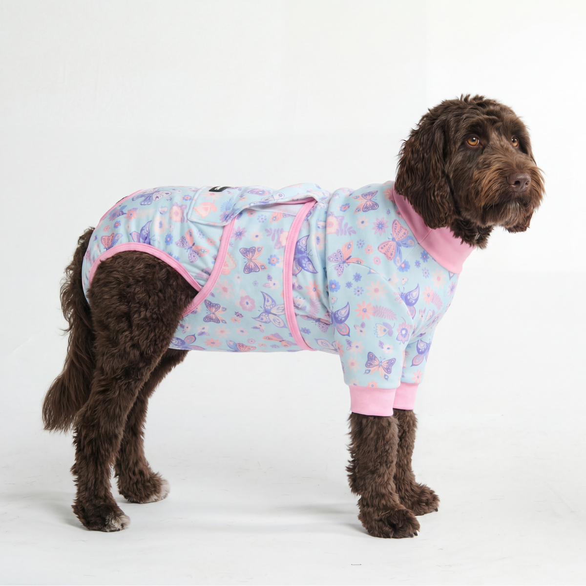 Dog Surgical Suit - Butterfly - Image 3
