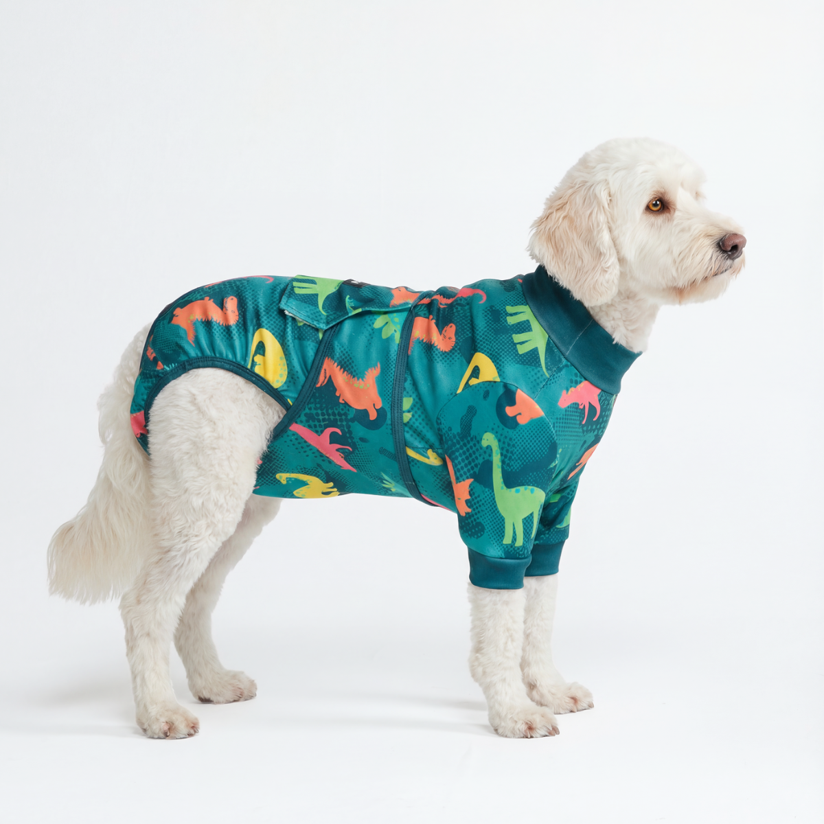 Dog Surgical Suit - Dinosaurs - Image 4