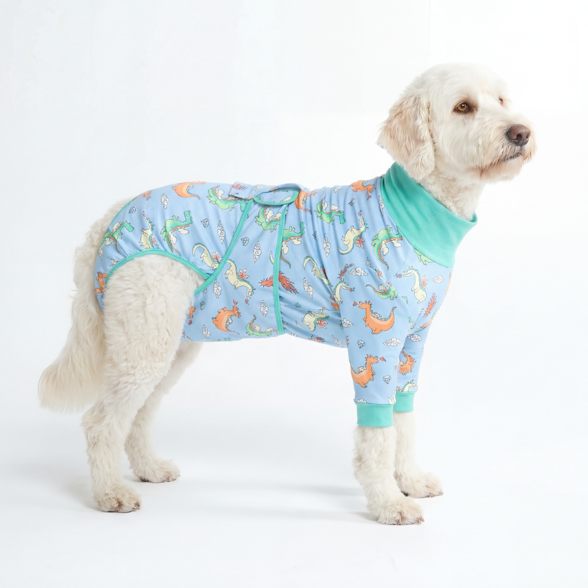 Dog Surgical Suit - Dragons - Image 4