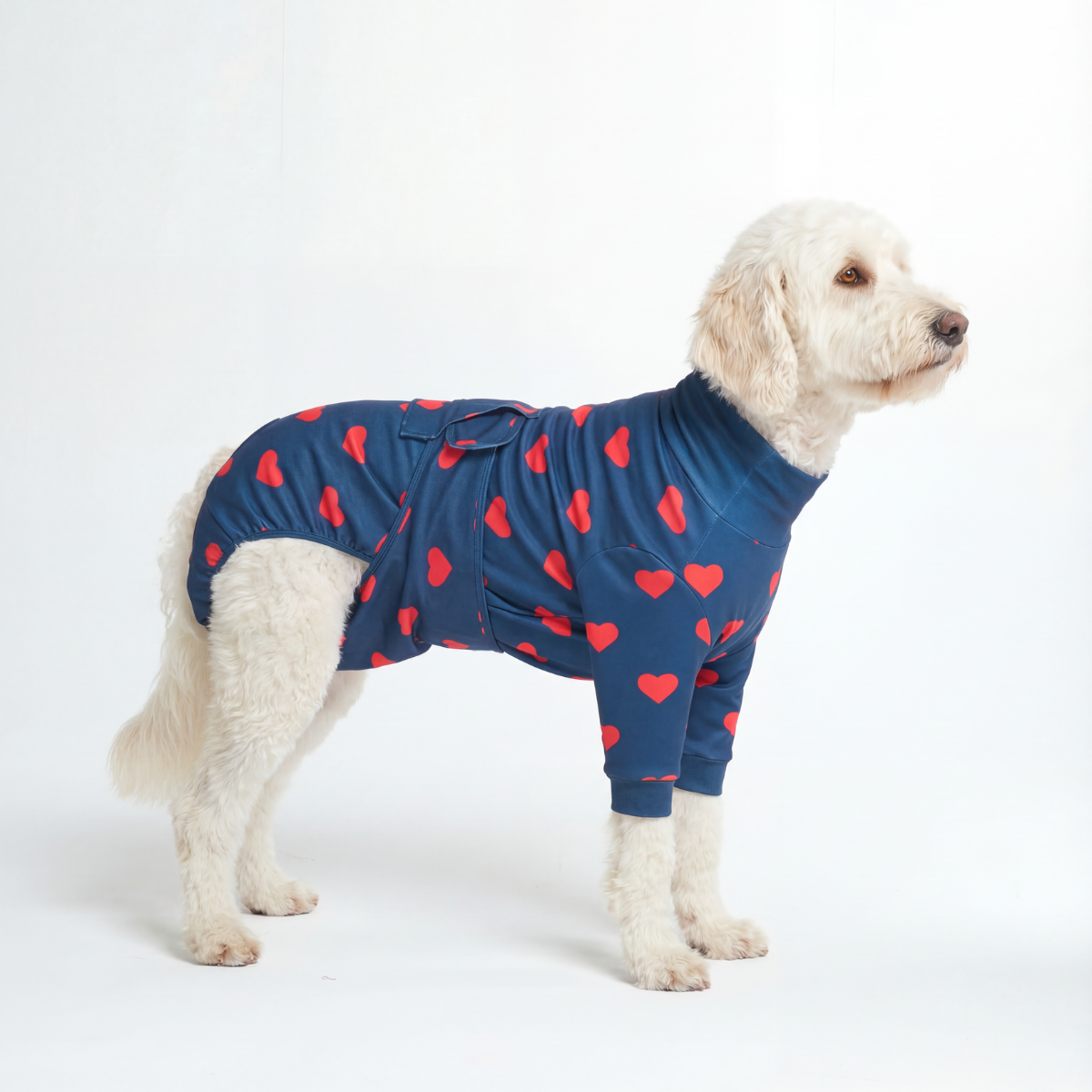 Dog Surgical Suit - Hearts - Image 2