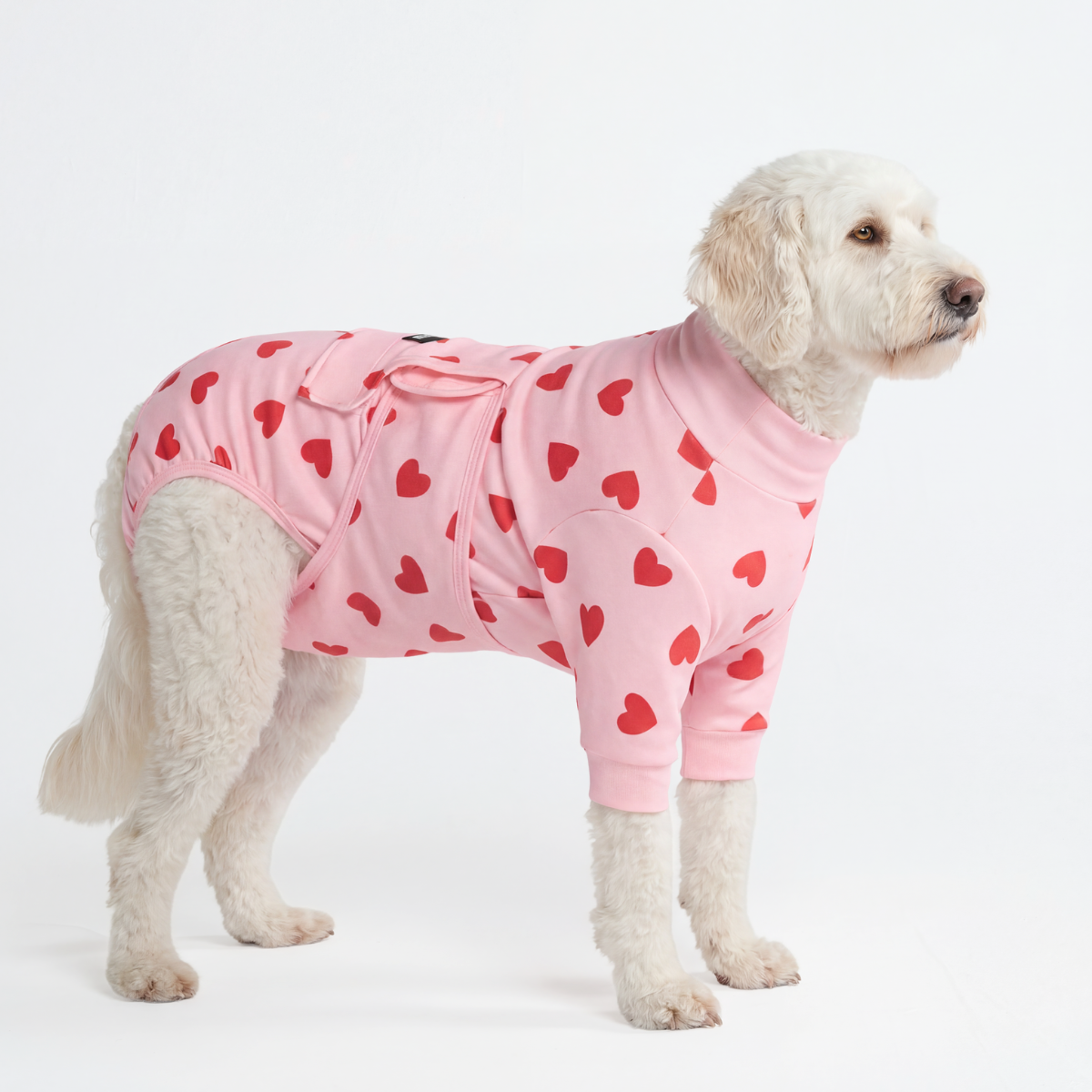 Dog Surgical Suit - Pink Hearts - Image 3