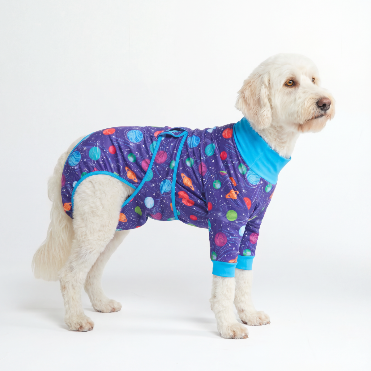 Dog Surgical Suit - Planets - Image 5