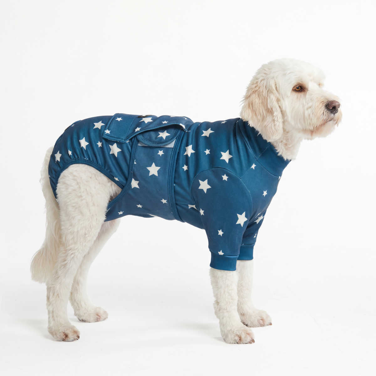 Dog Surgical Suit - Stars - Image 5