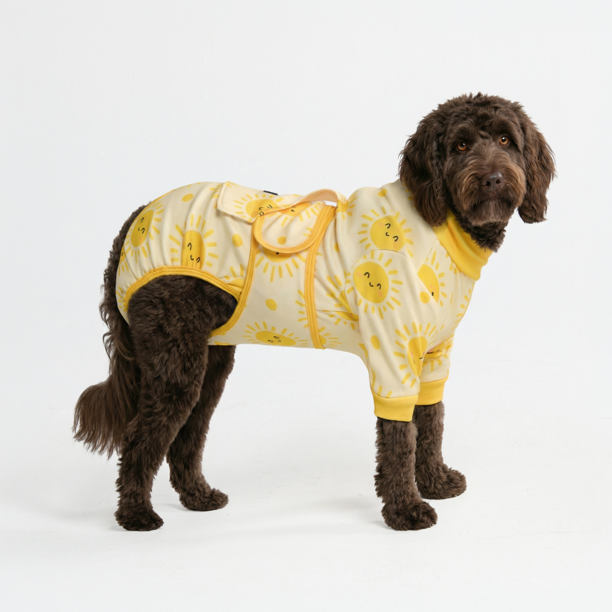 Dog Surgical Suit - Sunshine