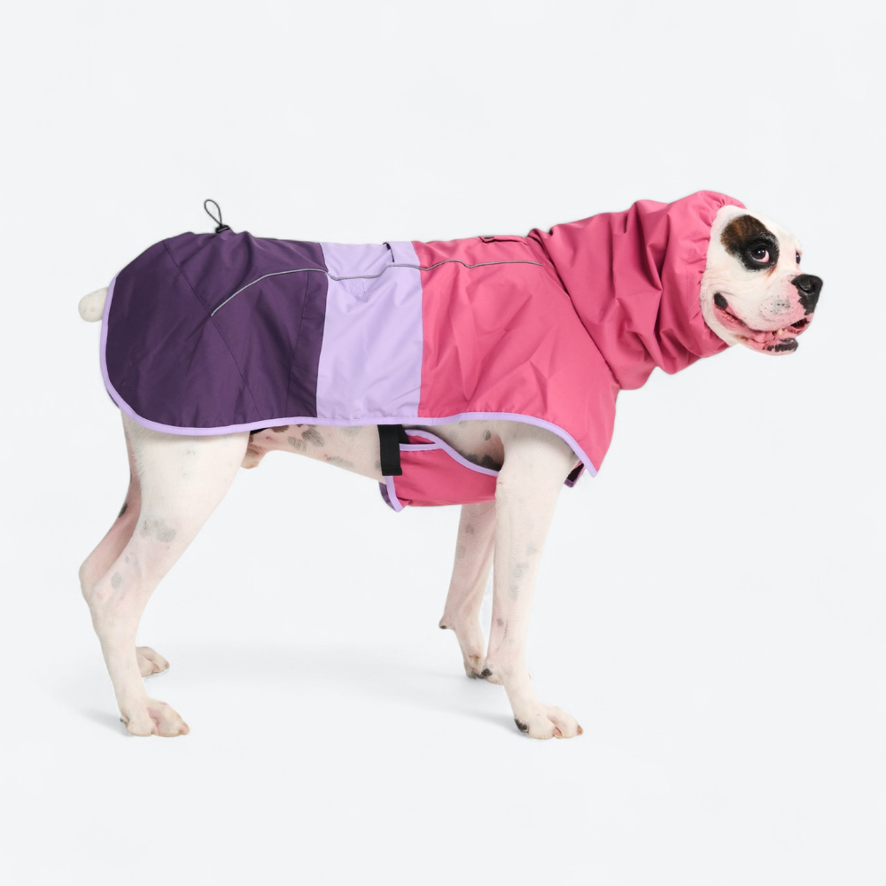 Breatheshield™ Dog Raincoat - Pink Lilac Purple - Image 5