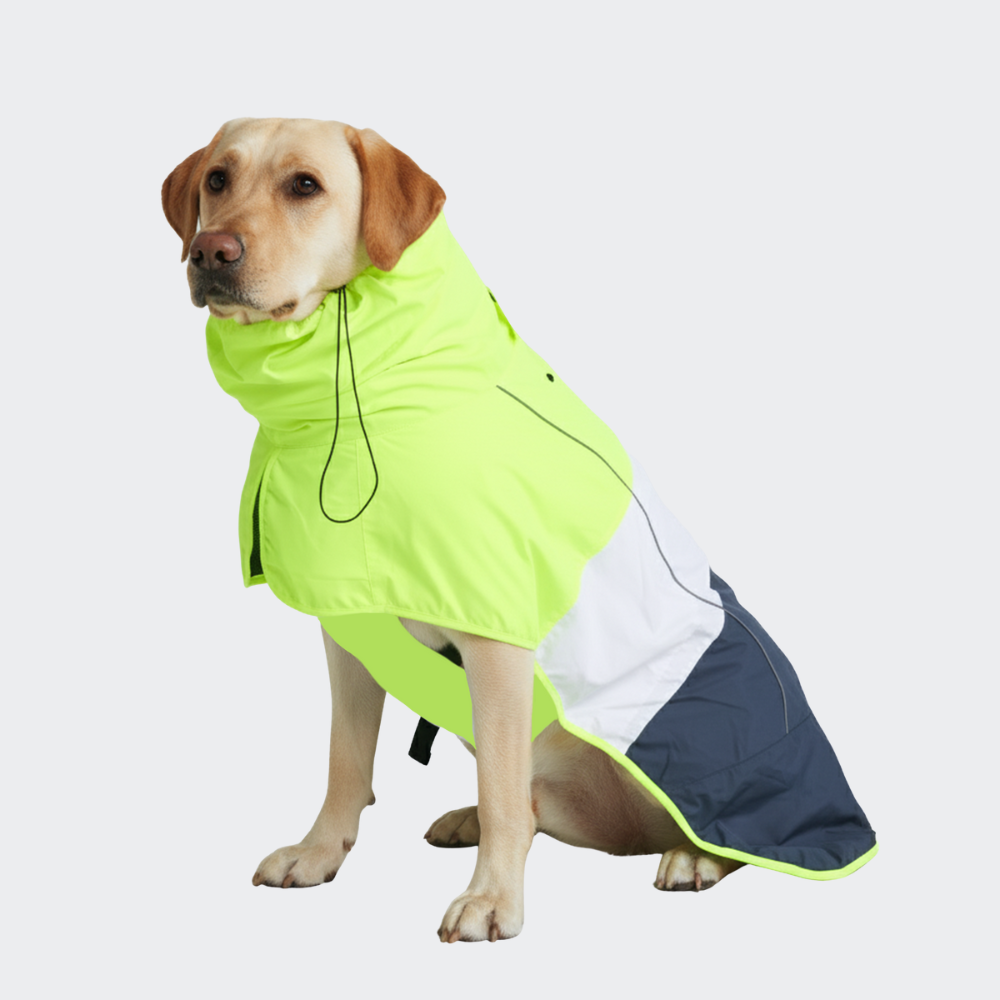Breatheshield™ Dog Raincoat - Lime White Navy - Image 5