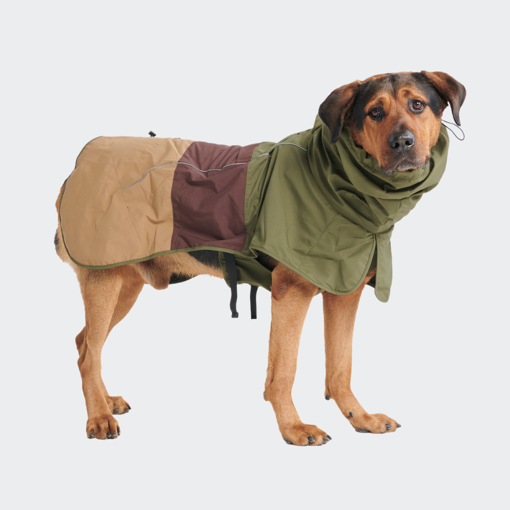 Breatheshield™ Dog Raincoat - Green Brown Tan - Image 5