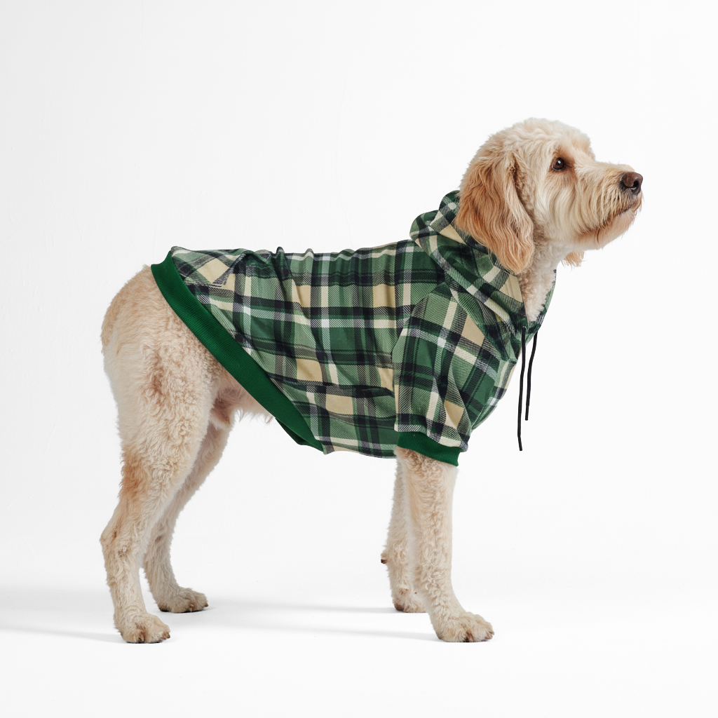 Green Plaid Dog Hoodie - Image 5