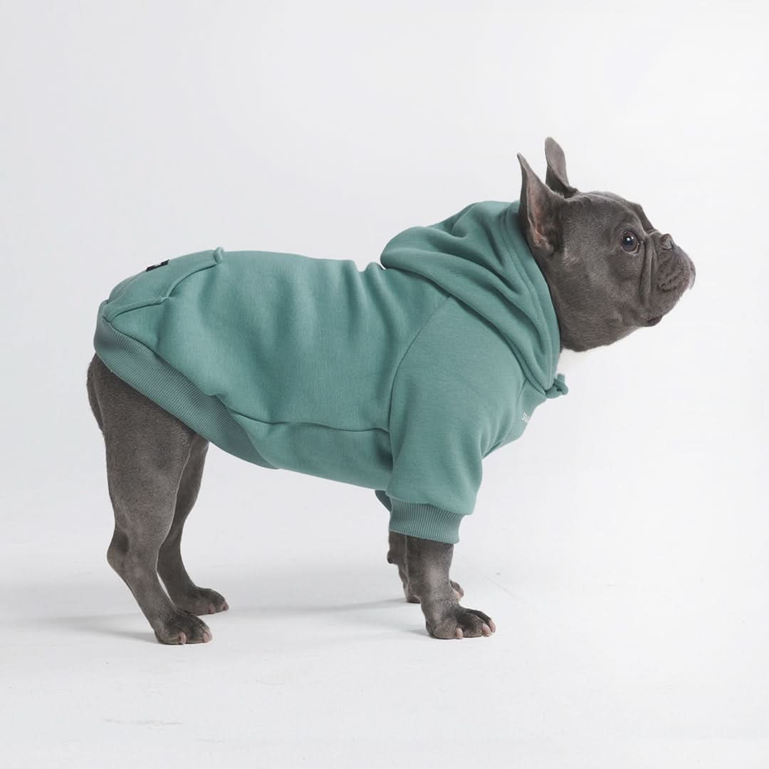 Essential Dog Hoodie - Teal - Image 5