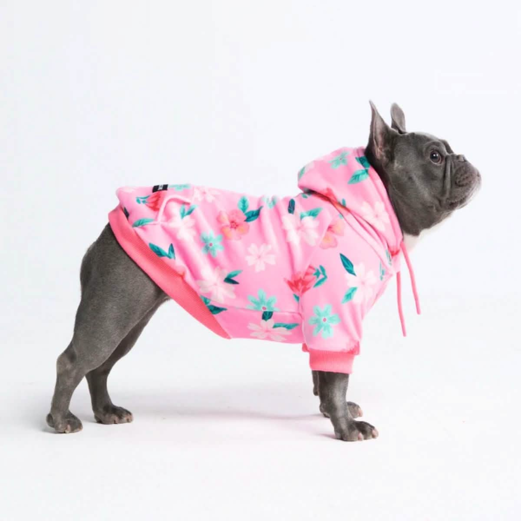 Blossom Dog Hoodie - Pink - Image 4