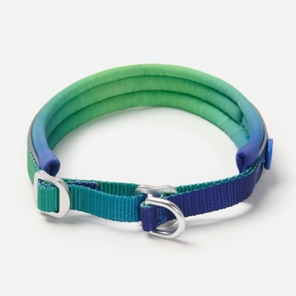 Cushioned Martingale Collar - Lime Wave - Image 2