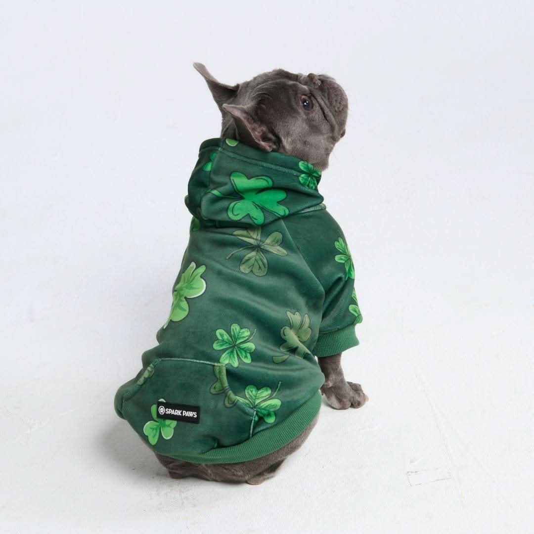 St. Paddy's Dog Hoodie - Dark Green (Limited Edition) - Image 4