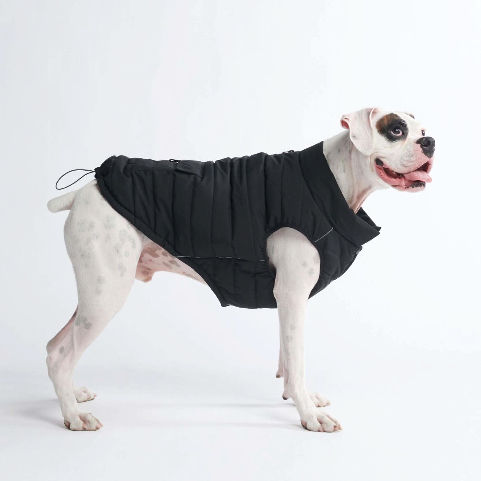 WarmShield Water-Resistant Jacket - Black - Image 7