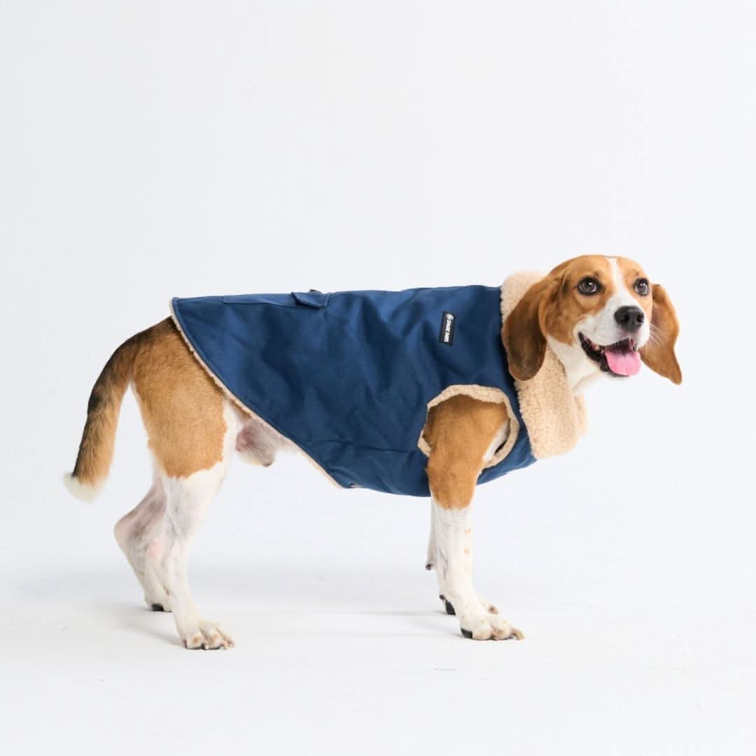 Workdog Insulated Utility Jacket - Navy - Image 3
