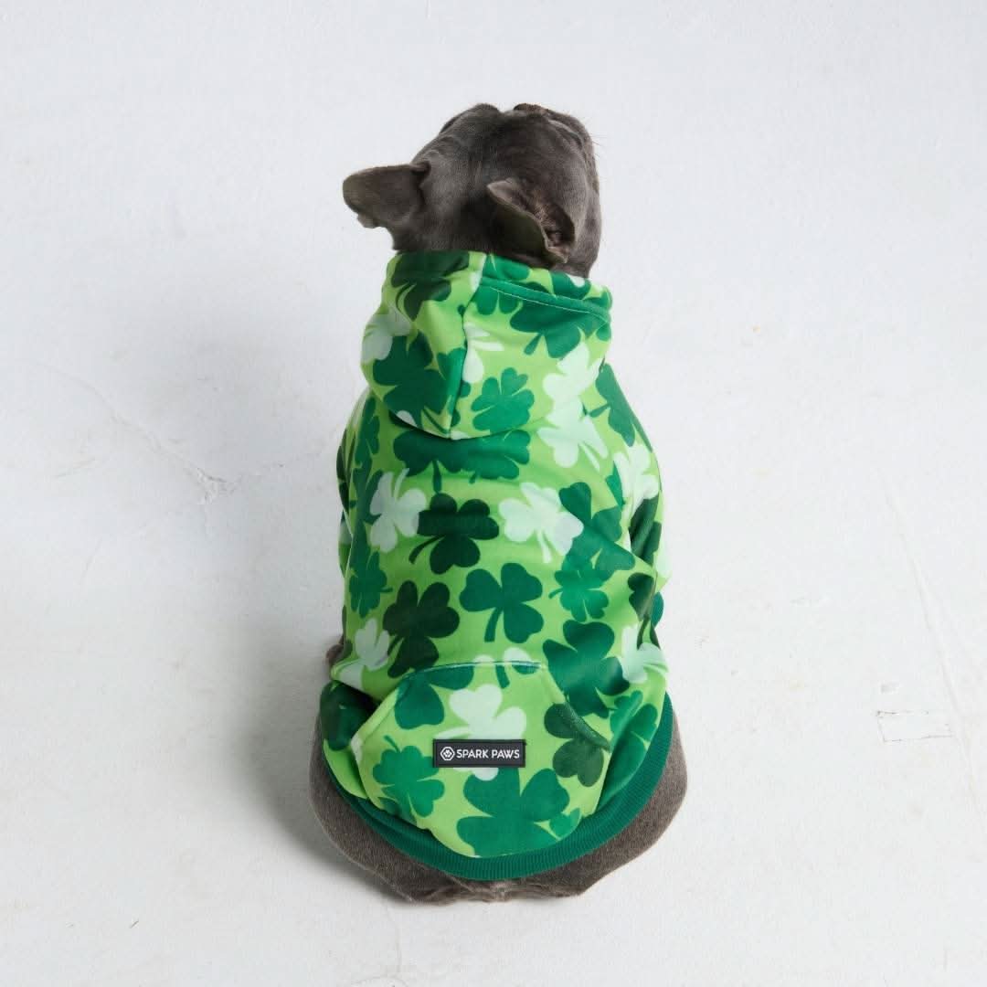 St. Paddy's Dog Hoodie - Shamrocks (Limited Edition) - Image 4