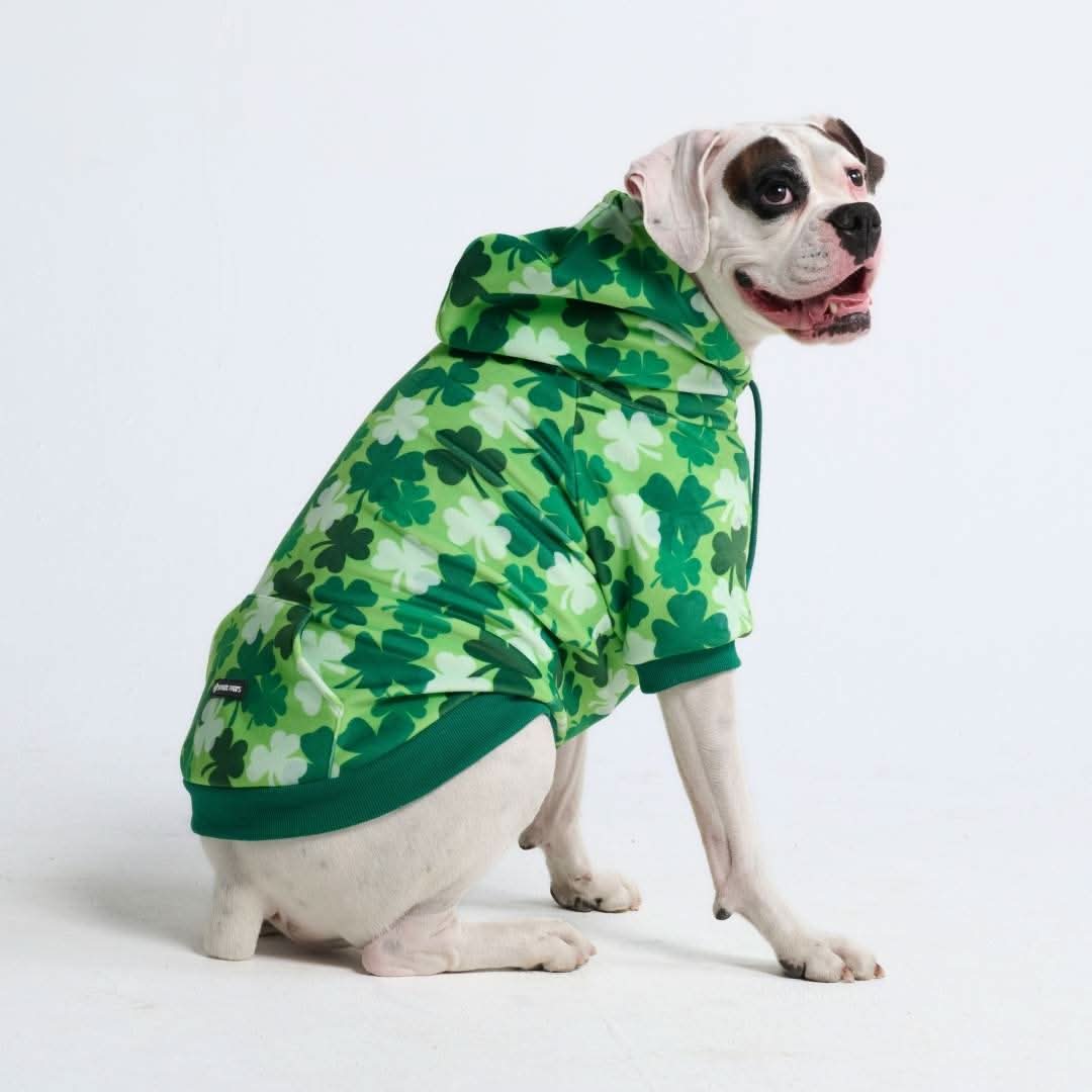 St. Paddy's Dog Hoodie - Shamrocks (Limited Edition) - Image 5