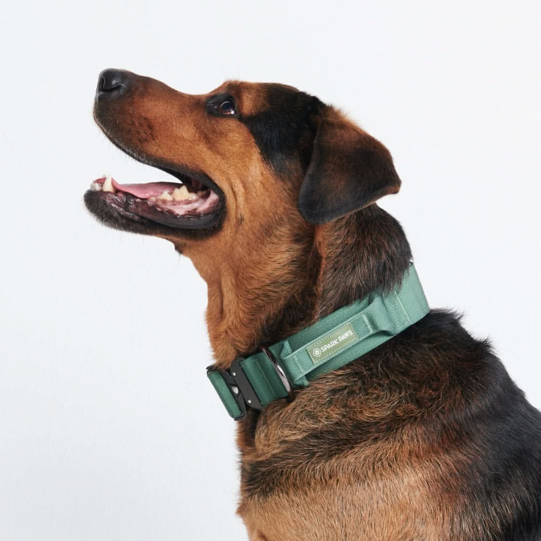 Comfort Control Collar - Army Green - Image 3