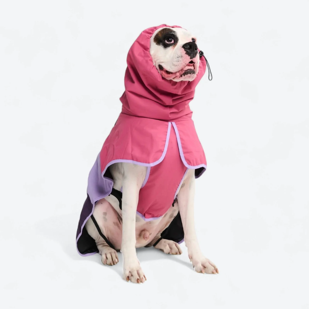 Breatheshield™ Dog Raincoat - Pink Lilac Purple - Image 8