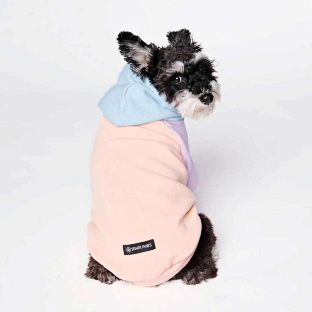 Cotton Candy Dog Hoodie - Image 11