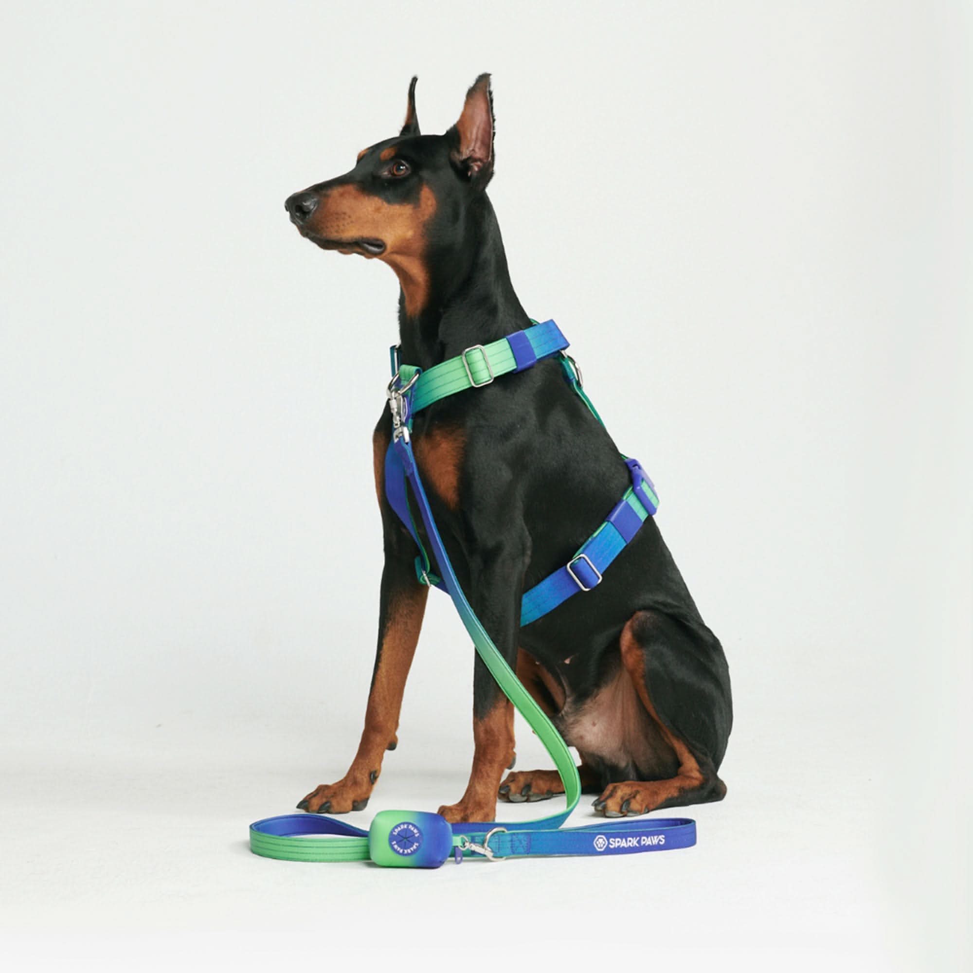 Leash and Poop Bag Holder Set - Lime Wave - Image 4