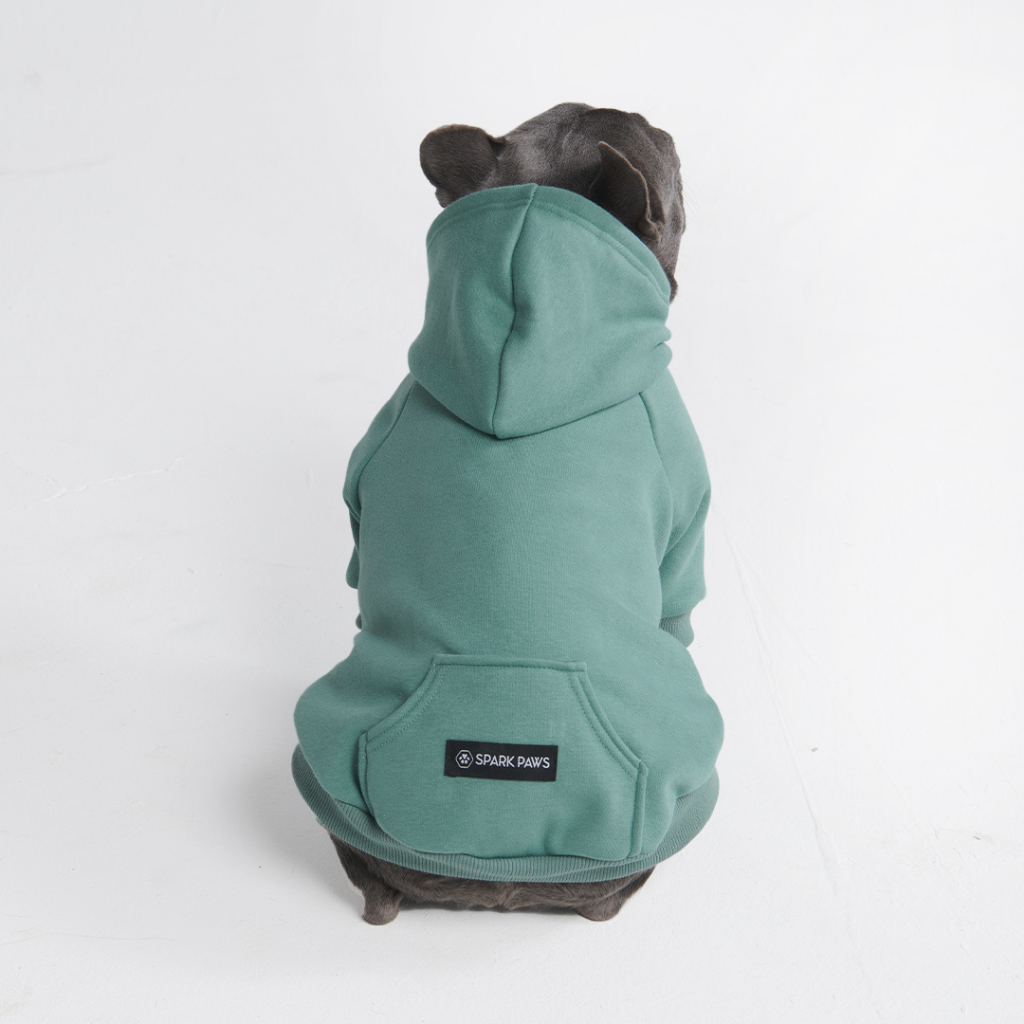 Essential Dog Hoodie - Teal - Image 11